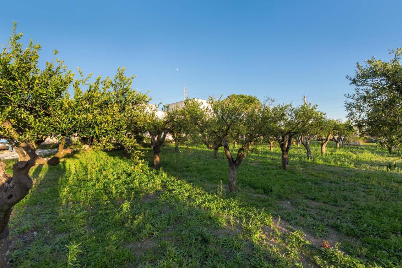 Casina Farnarari Lägenhet Monteroni di Lecce Exteriör bild